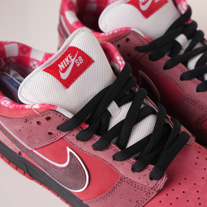 Nike SB Dunk Low Concepts Red Lobster