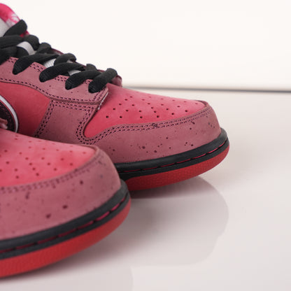 Nike SB Dunk Low Concepts Red Lobster