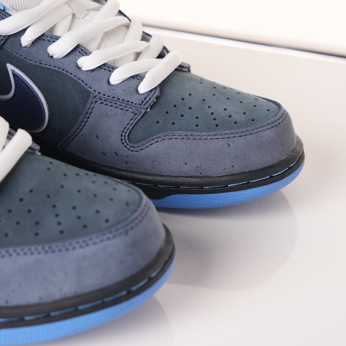 Nike SB Dunk Low Concepts Blue Lobster