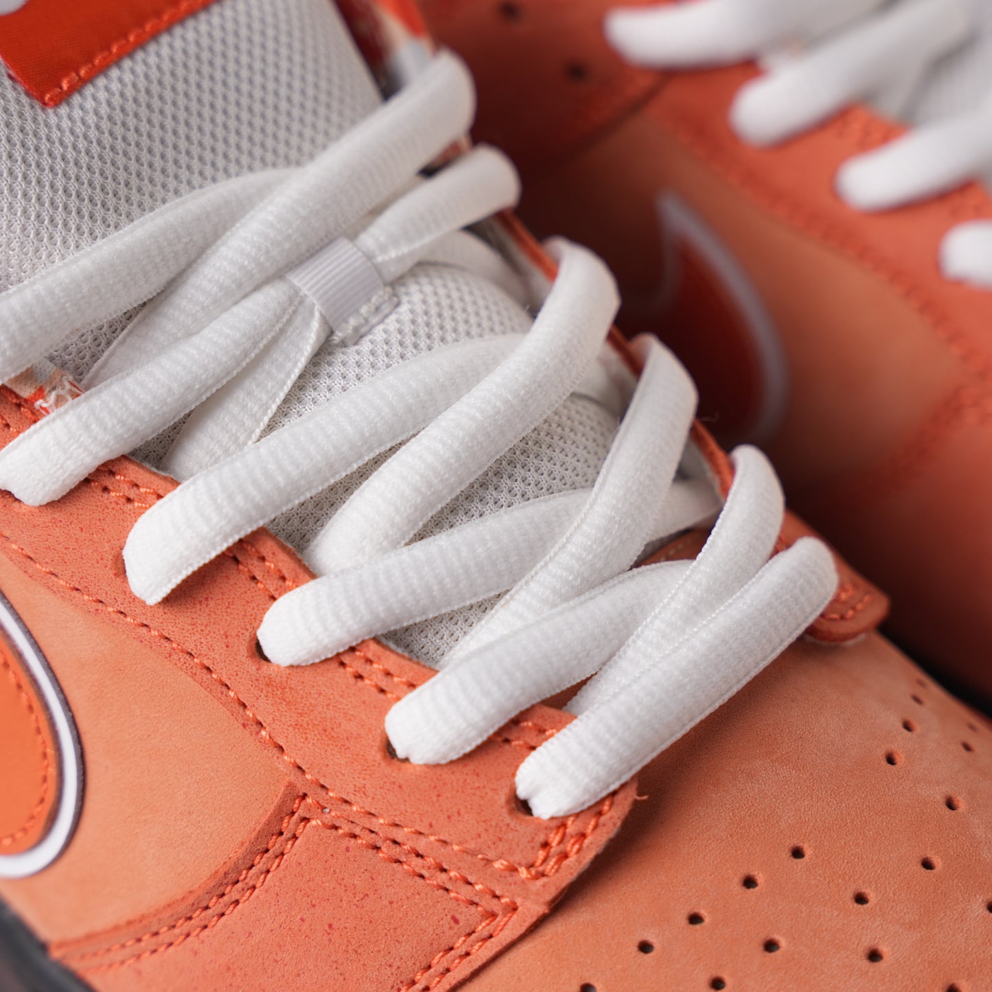 Nike SB Dunk Low Concepts Orange Lobster