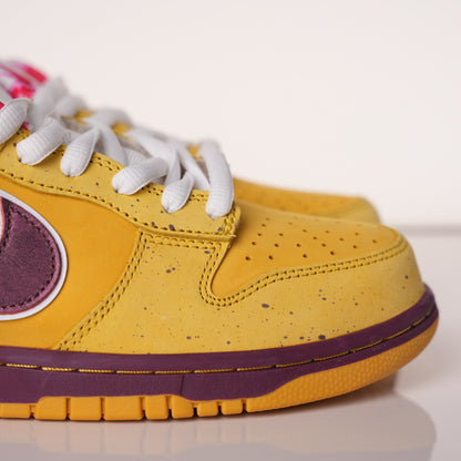 Nike SB Dunk Low Yellow Lobster 313170-137566