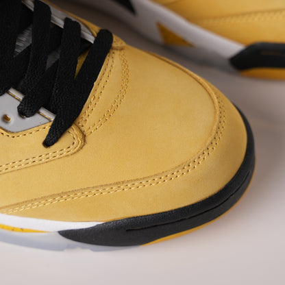 Air Jordan 5 Retro 2025